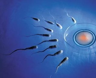 2026泰国试管婴儿医院，哪家医院更适合你？