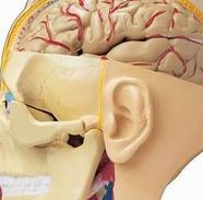 做了结扎手术可以在沅江市试管医院做试管婴儿吗？费用是多少