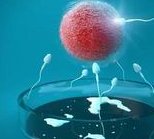 私立医院试管婴儿费用是多少？附私立医院试管详细流程