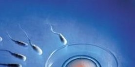 揭秘天津私人医院试管生子费用，构成清晰，安心选择