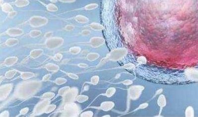 助孕生下的孩子归谁？助孕的孩子是不是自己的