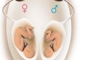 河北秦皇岛市第三代试管婴儿费用全解析，性价比之选